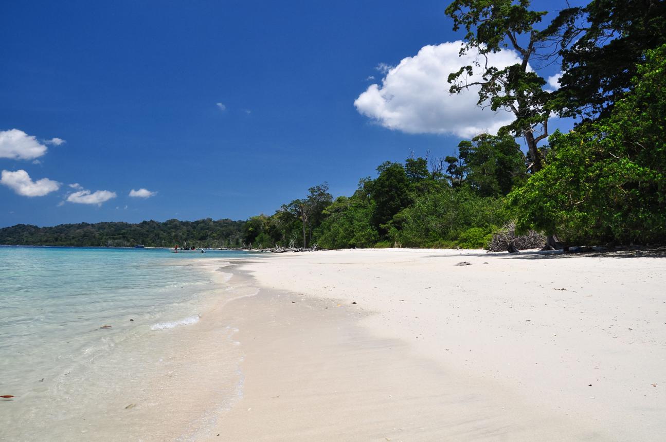 Radhanagar Beach white sand and turquoise water at Havelock